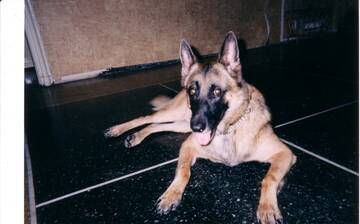 Public Photo of Pyter12